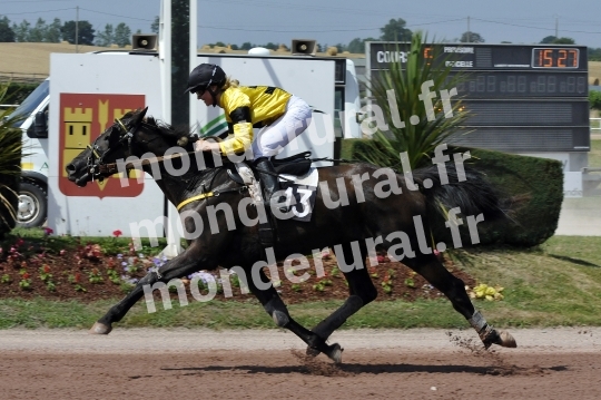 Courses a Vire-Normandie du 20 juillet 2016