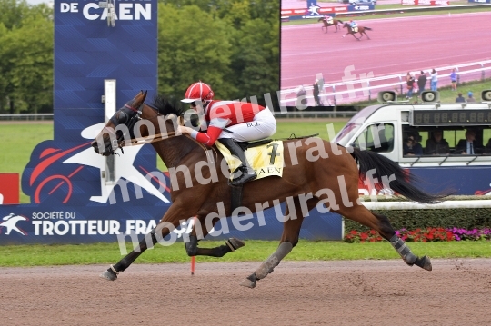 Courses de Caen 09-09-2024