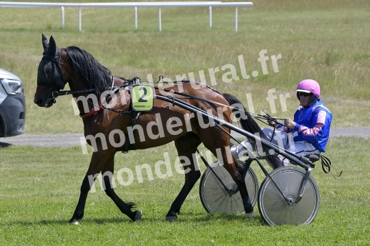 COURSES DE GRANVILLE - 24 MAI 2026