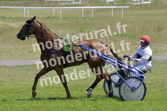 COURSES DE GRANVILLE - 24 MAI 2026