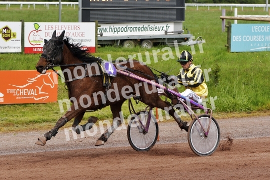 COURSES DE LISIEUX - 14 AVRIL 2024