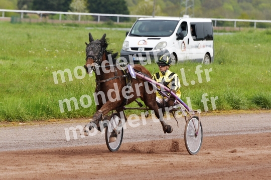 COURSES DE LISIEUX - 14 AVRIL 2024