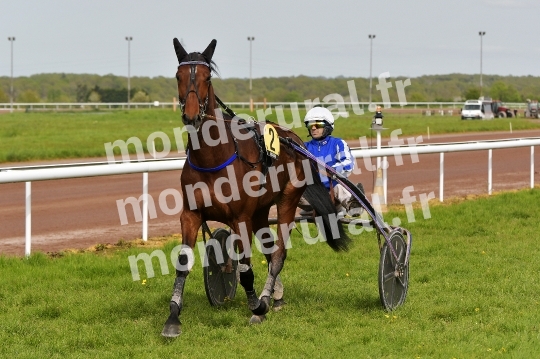 COURSES DE LISIEUX - 14 AVRIL 2024