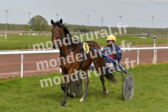 COURSES DE LISIEUX - 14 AVRIL 2024