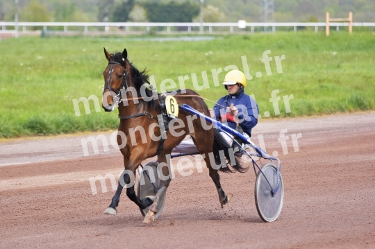 COURSES DE LISIEUX - 14 AVRIL 2024