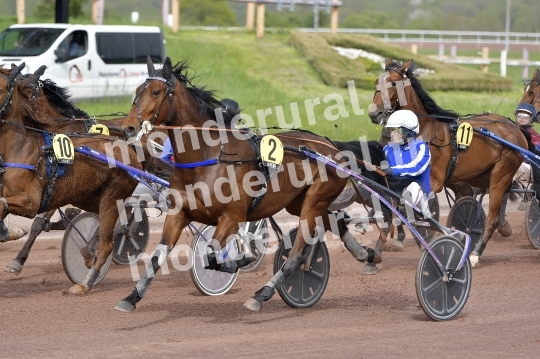 COURSES DE LISIEUX - 14 AVRIL 2024