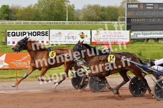 COURSES DE LISIEUX - 14 AVRIL 2024