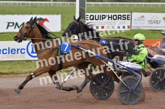 COURSES DE LISIEUX - 14 AVRIL 2024