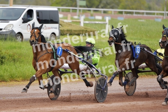 COURSES DE LISIEUX - 14 AVRIL 2024