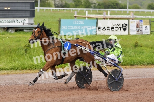 COURSES DE LISIEUX - 14 AVRIL 2024