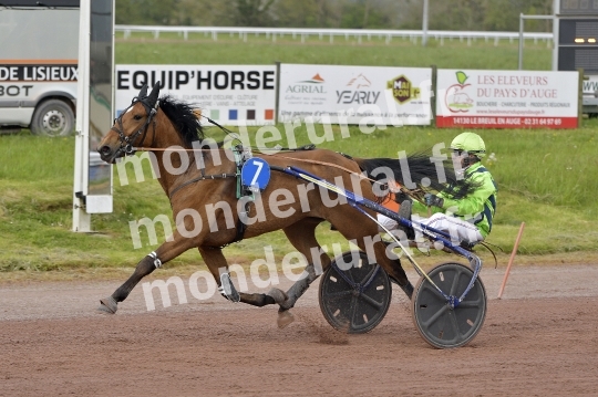 COURSES DE LISIEUX - 14 AVRIL 2024