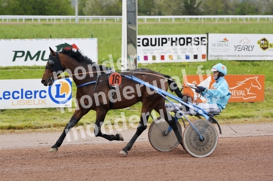 COURSES DE LISIEUX - 14 AVRIL 2024