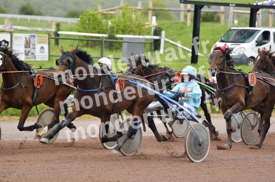 COURSES DE LISIEUX - 14 AVRIL 2024
