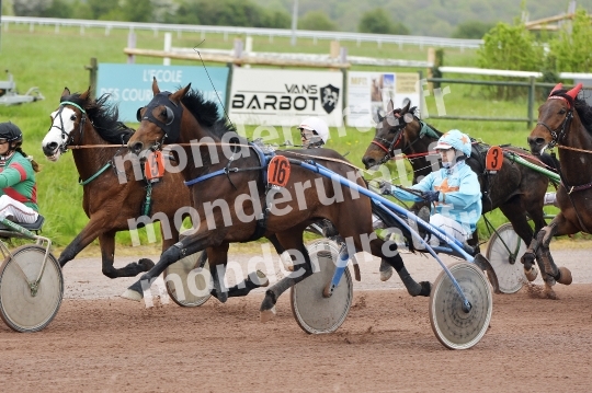 COURSES DE LISIEUX - 14 AVRIL 2024