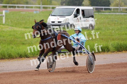 COURSES DE LISIEUX - 14 AVRIL 2024