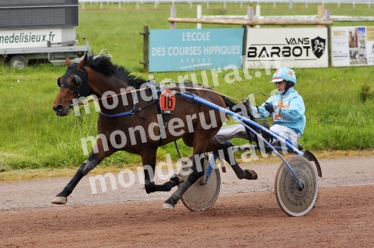COURSES DE LISIEUX - 14 AVRIL 2024