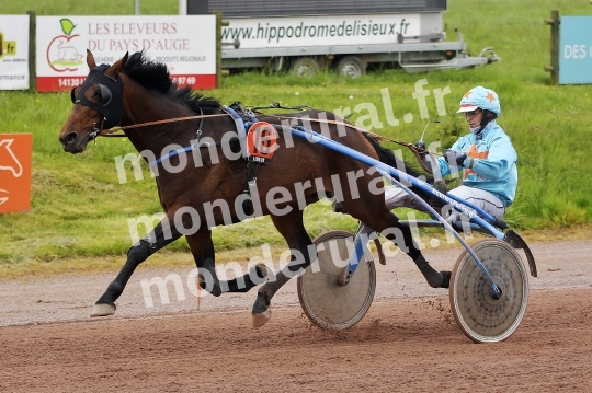 COURSES DE LISIEUX - 14 AVRIL 2024