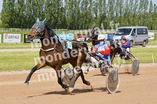 COURSES DE VIRE -  21 AVRIL 2024