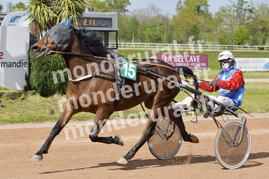 COURSES DE VIRE -  21 AVRIL 2024