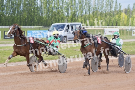 COURSES DE VIRE -  21 AVRIL 2024