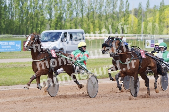 COURSES DE VIRE -  21 AVRIL 2024