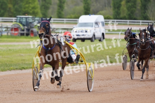 COURSES DE VIRE -  21 AVRIL 2024