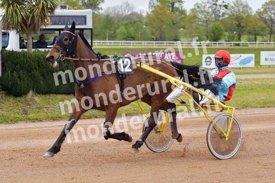 COURSES DE VIRE -  21 AVRIL 2024