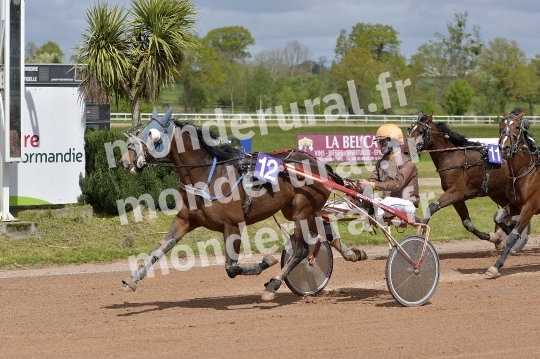 COURSES DE VIRE -  21 AVRIL 2024