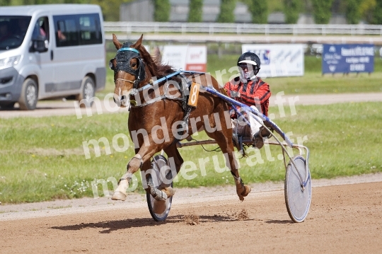 COURSES DE VIRE -  21 AVRIL 2024