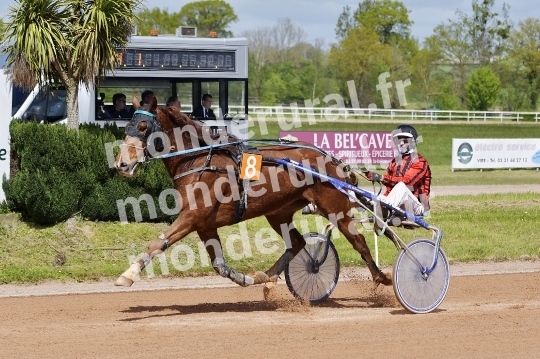 COURSES DE VIRE -  21 AVRIL 2024