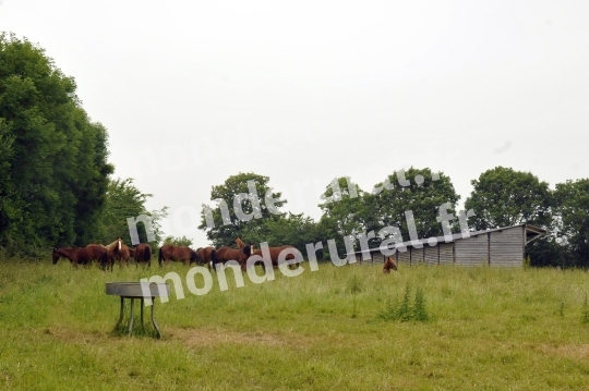 Ecurie Jean-Yves Lecuyer