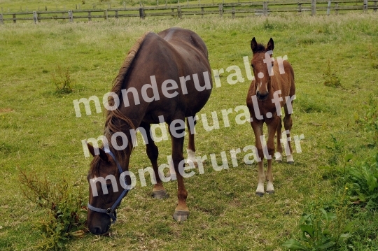 Ecurie Jean-Yves Lecuyer