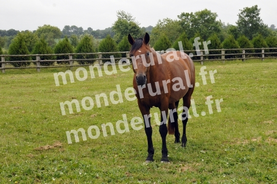 Ecurie Jean-Yves Lecuyer