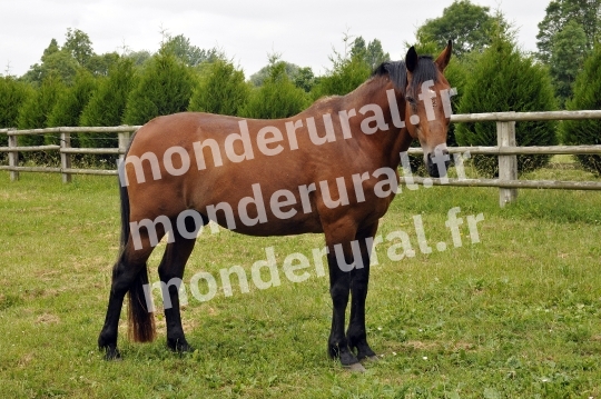 Ecurie Jean-Yves Lecuyer