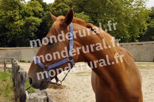 Ecurie Jean-Yves Lecuyer