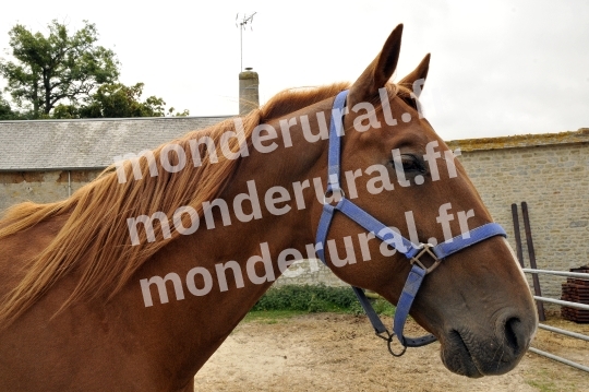 Ecurie Jean-Yves Lecuyer