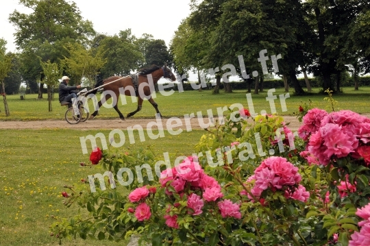 Ecurie Jean-Yves Lecuyer