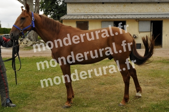 Ecurie Jean-Yves Lecuyer