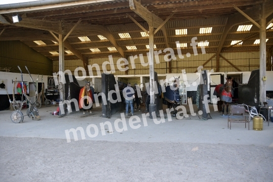 ECURIE MARIUS COIGNARD