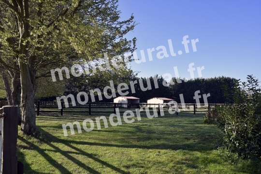 ECURIE MARIUS COIGNARD