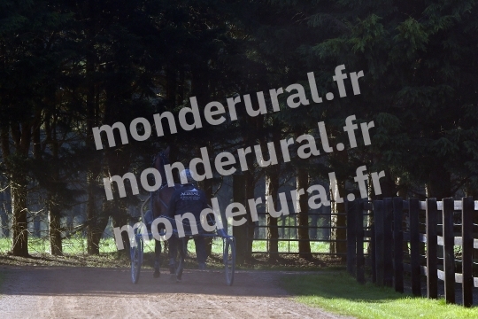 ECURIE MARIUS COIGNARD