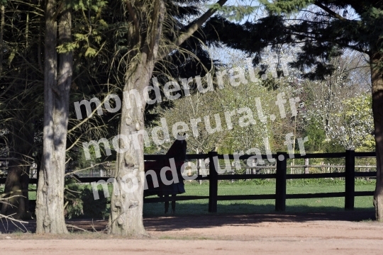 ECURIE MARIUS COIGNARD