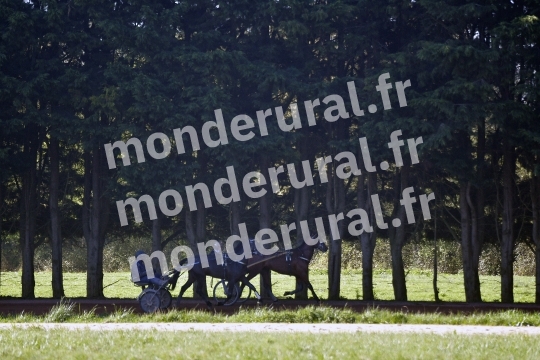 ECURIE MARIUS COIGNARD