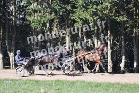 ECURIE MARIUS COIGNARD