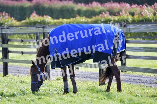 ECURIE SEBASTIEN ERNAULT