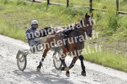 ECURIE SEBASTIEN ERNAULT