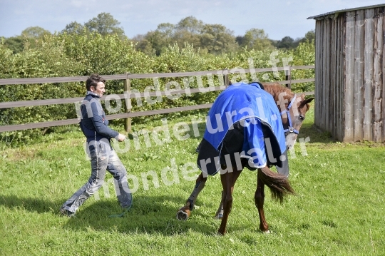 ECURIE SEBASTIEN ERNAULT