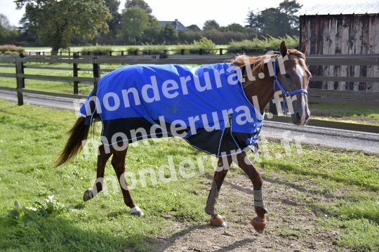 ECURIE SEBASTIEN ERNAULT