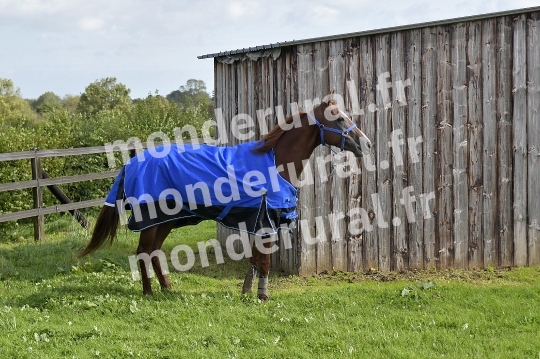 ECURIE SEBASTIEN ERNAULT