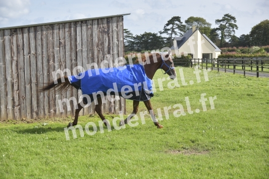 ECURIE SEBASTIEN ERNAULT